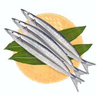 Autumn taste saury, pike, fish, food, JPG and PNG