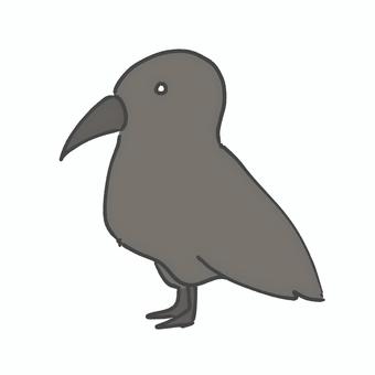 カラス カラス,野鳥,鳥,動物,生き物,害獣,黒のイラスト素材