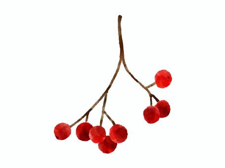 ナナカマドの赤い実（水彩） 赤い,実,ナナカマド,美しい,水彩,手書き,手描き,ベクター,シンプル,枝のイラスト素材