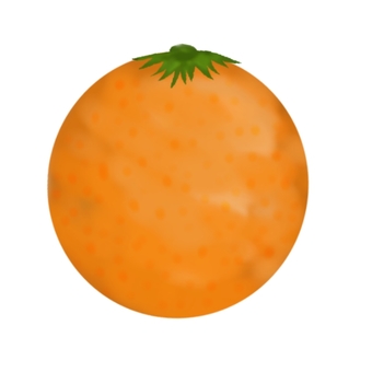 Illustration, orange, mandarin orange, fruit, 