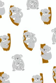 コアラパターンの白 コアラ,動物,もふもふ,かわいい,白,パターン,背景,壁紙,生き物,哺乳類のイラスト素材