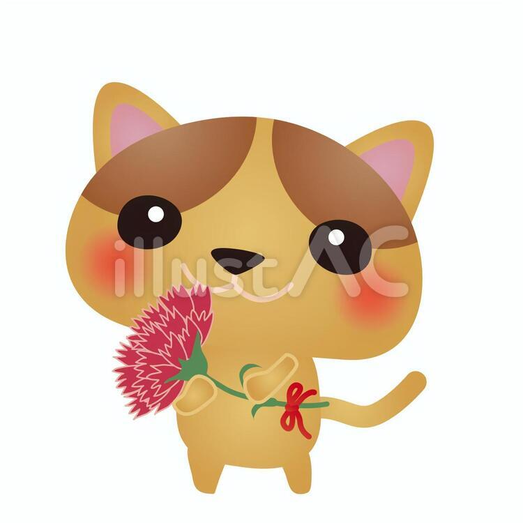 cat119 猫,カーネーション,母の日のイラスト素材