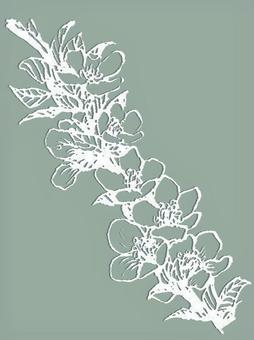 Illustration, flower, usuraume, birth flower, 