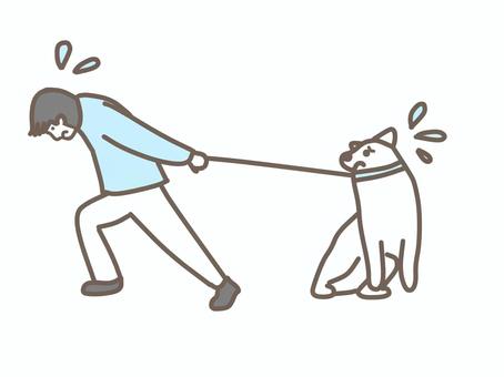 動物病院に連れて行かれる犬 動物,ペット,犬,猫,獣医,獣医師,治療,動物病院,かわいいのイラスト素材