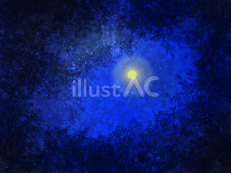 森の夜 森,夜,月明かりのイラスト素材