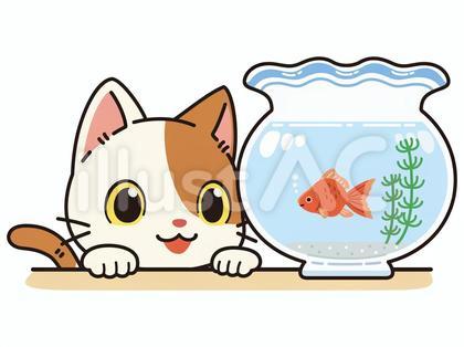 金魚鉢の中で泳ぐ金魚を眺める可愛いぶち猫