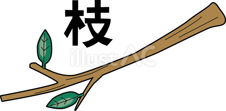枝　  枝,樹木,葉のイラスト素材