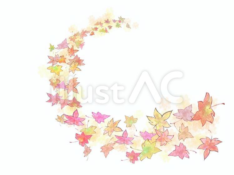 もみじ もみじ,紅葉,秋のイラスト素材