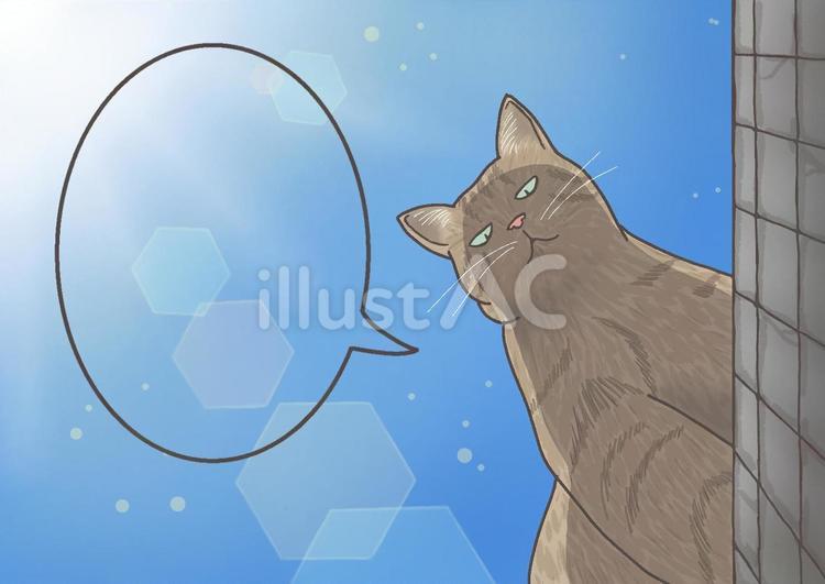 覗き込む猫と青空 猫,吹き出し,空のイラスト素材