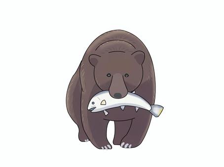 ヒグマ(魚) ヒグマ(魚) ヒグマ,クマ,動物,茶色,寝る,魚のイラスト素材
