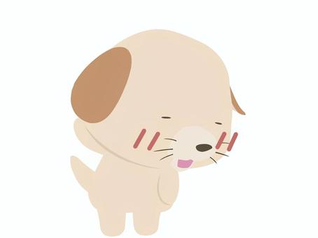害羞的狗, JPG, PNG 和 AI 害羞的狗, 怕羞, 動物, 可愛的, JPG, PNG 和 AI