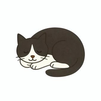 寝ているハチワレの猫