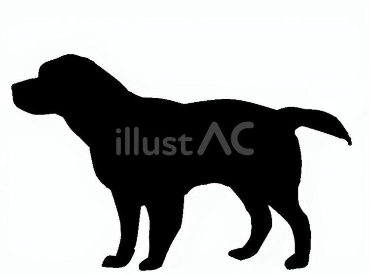 犬。。 犬,シルエット,動物のイラスト素材