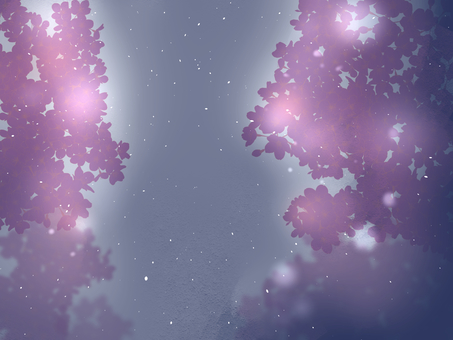夜桜のイラスト 桜,夜桜,花,背景,壁紙,夜,風景,イラスト,手描き,きれいのイラスト素材
