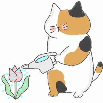 お花を育てる三毛猫ちゃん お花を育てる三毛猫ちゃん かわいい,花,お花,フラワー,園芸,ガーデン,ガーデニング,育てる,水やり,チューリップのイラスト素材