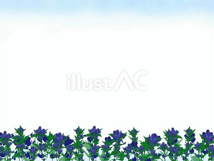 やさしい水彩　秋の野のりんどう りんどう,背景,水彩のイラスト素材