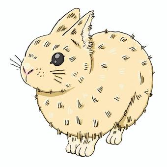 うさぎ うさぎ うさぎ,動物,手描きのイラスト素材