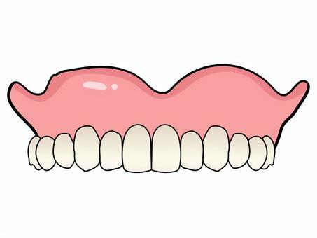 総義歯 正面イラスト(上顎・主線あり) 総義歯 正面イラスト(上顎・主線あり) 義歯,上顎,入れ歯,歯科,歯科技工,医療,医療説明,教材用イラスト,正面,シンプルのイラスト素材