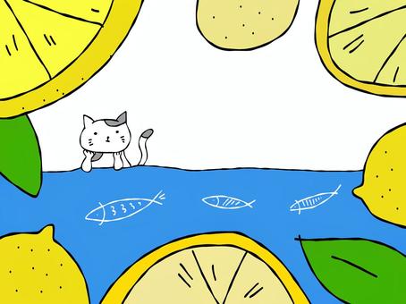 Summer postcard, JPG and PNG Summer postcard, summer, cat, mammalian, JPG and PNG
