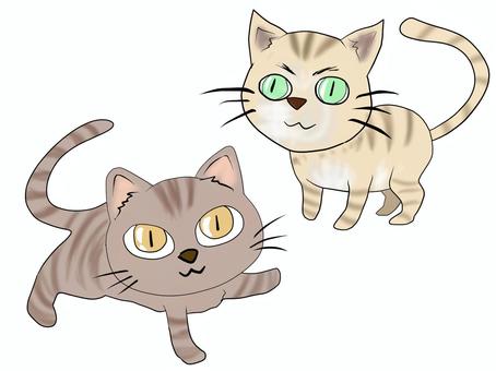 猫 三毛,どら猫,ネコ,にゃんにゃん,ペット,ニャー,子猫,かわいい,可愛い,カメラ目線のイラスト素材