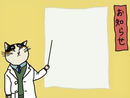 Notice Cat teacher, JPG and PNG Notice Cat teacher, cat, notice, white, JPG and PNG