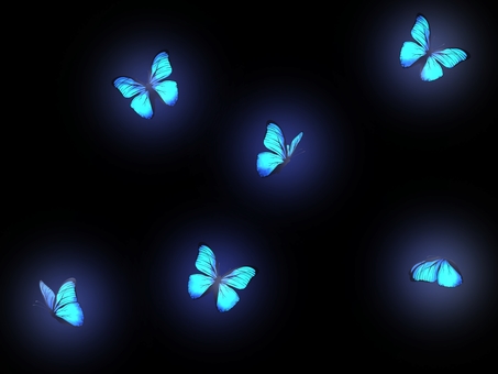 モルフォ蝶の背景 蝶,手書き,手描き,きれい,かわいい,無料,フリー,標本,リアル,虫のイラスト素材