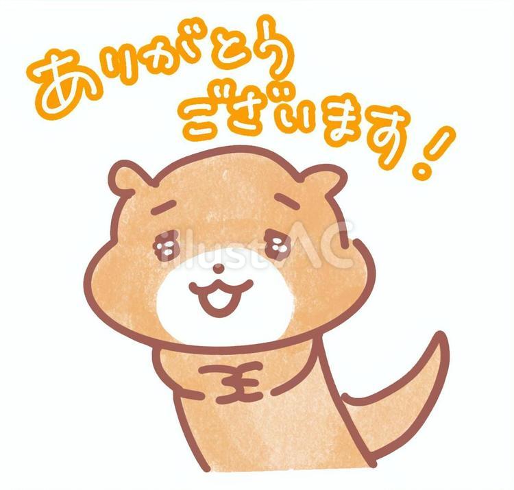 ありがとうございます！というカワウソ カワウソ,イタチ,ありがとうのイラスト素材