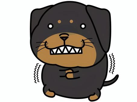 Mr. Dax Gakuburu, dachshund, trembling, astonishment, JPG, PNG and EPS