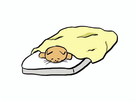 布団で寝る猫 猫,寝る,布団,可愛い,動物のイラスト素材