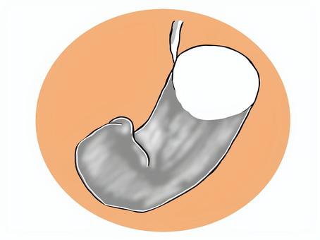 胃の検査　透視　健診 胃,透視,バリウム,病院,クリニック,診療所,健診,検診のイラスト素材