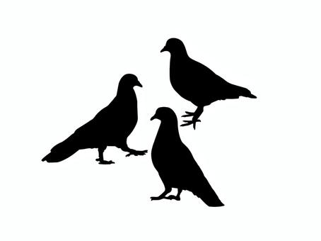 ハト 鳩,セット,鳥,鳥類,動物,野生,シルエット,黒塗り,イメージ,シンプルのイラスト素材