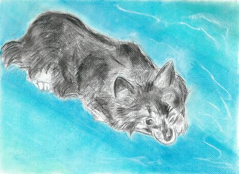 チワワ チワワ,長毛種,可愛い,見つめる,パステル,俯瞰のイラスト素材