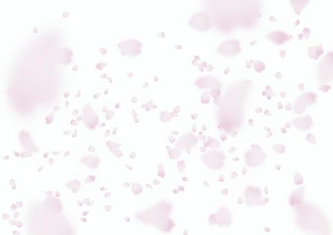 #1403桜花びら