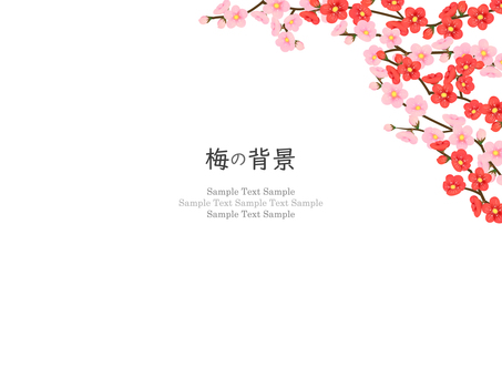 梅の花のフレーム、背景02 梅,花,水彩,フレーム,背景,梅の花,手描き,和,和風,和柄のイラスト素材