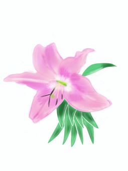Illustration, yuri, roda gedhe, elegance, 