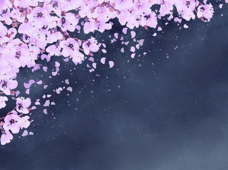 夜桜, JPG 夜桜, , JPG
