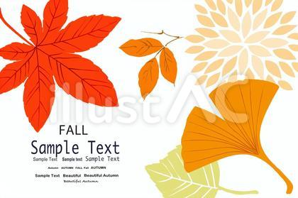 紅葉秋