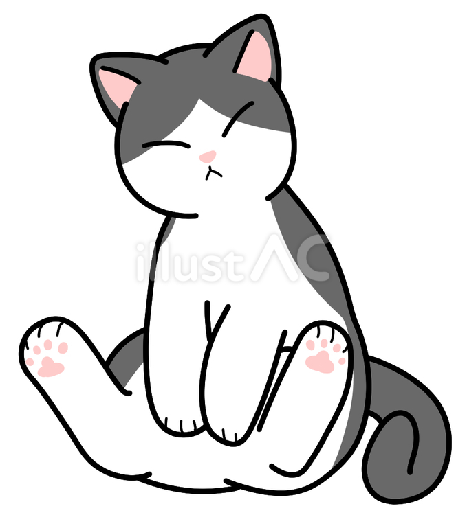 ちょこんと座るぶち猫 ぶち猫,ハチワレ,座るのイラスト素材