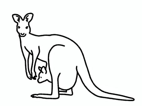 カンガルー カンガルー,動物園,親子,哺乳類,生き物,塗り絵のイラスト素材