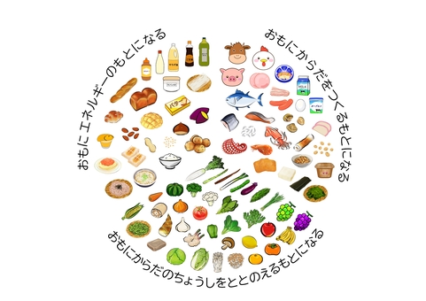 栄養　円グラフ③ 栄養,給食,食品,円グラフ,子ども向け,たんぱく質,脂質,炭水化物,ビタミン,献立のイラスト素材