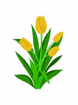 黄色のチューリップ 黄色のチューリップ 黄色,春,イラストのイラスト素材