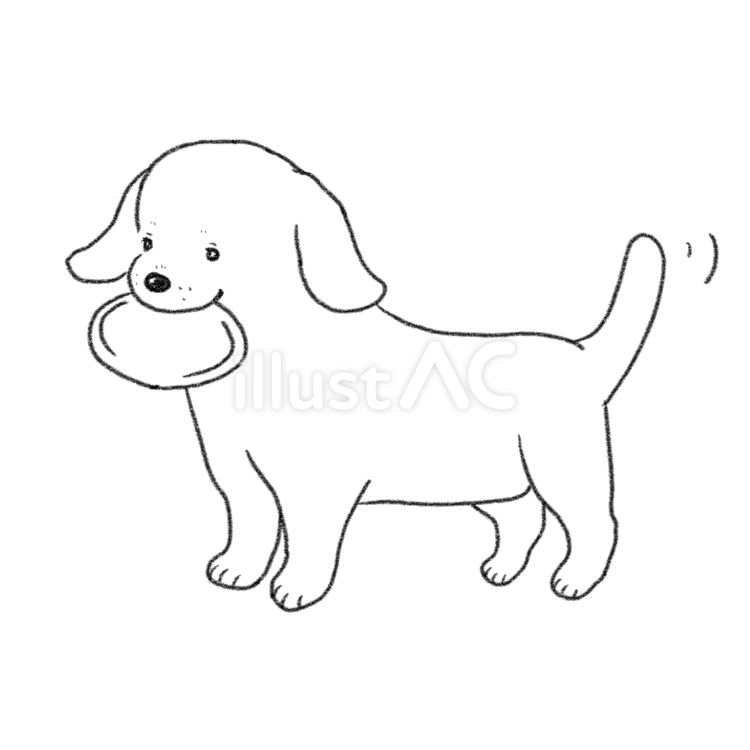 フリスビーをくわえる犬 犬,動物,フリスビーのイラスト素材