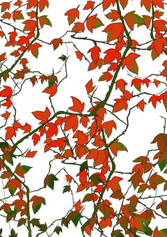 蔦紅葉 蔦,紅葉,模様,秋,アラベスクのイラスト素材