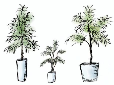 Illustration, foliage plant, plant, interior, 