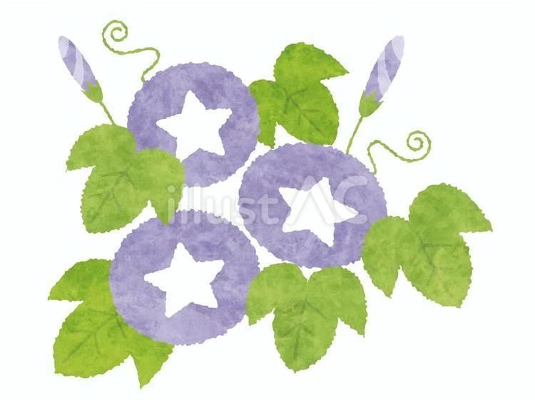 手描き風のシンプルで可愛いあさがお　紫 あさがお,朝顔,紫のイラスト素材