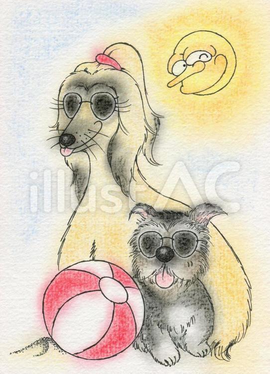 ワンちゃん集合！　２ 夏,犬,太陽のイラスト素材
