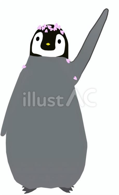 桜の中で手を振る皇帝ペンギンのヒナ 動物,鳥,ペンギンのイラスト素材