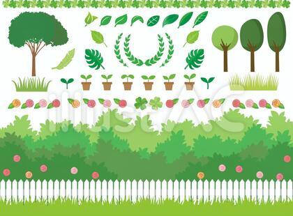 庭/グリーン/葉っぱ/木/植物いろいろ