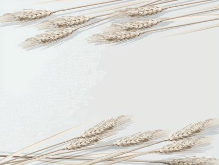 小麦色の麦穂とキャンバス地A　004 麦穂,小麦色,リアル,ナチュラル,お洒落,自然,植物,大人っぽい,枠,背景のイラスト素材