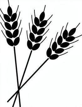 麦のシルエット 大麦,小麦,麦,麦穂,小麦粉,ビール,もち麦,秋,麦茶,実りのイラスト素材